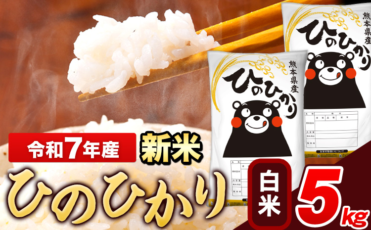 新米 令和7年産 ひのひかり 白米 5kg(5kg×1袋)《7-14日以内に出荷予定(土日祝除く)》 熊本県産 米 精米---ng_hn7_wx_12500_5kg_h---