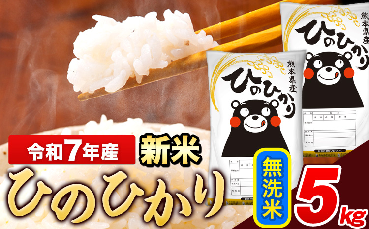 新米 令和7年産 ひのひかり 無洗米 5kg(5kg×1袋)《7-14日以内に出荷予定(土日祝除く)》 熊本県産 米---ng_hn7_wx_12500_5kg_m---