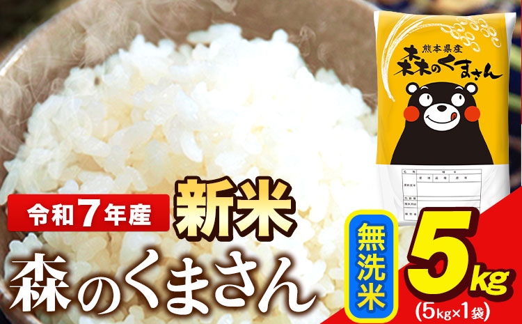 新米 令和7年産 無洗米  森のくまさん 5kg × 1袋  熊本県産 単一原料米 森くま《7-14日以内に出荷予定(土日祝除く)》送料無料---ng_mk7_wx_12500_5kg_m---