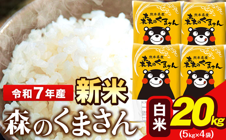 新米 令和7年産 森のくまさん 20kg 5kg × 4袋  白米 熊本県産 単一原料米 森くま《7-14日以内に出荷予定(土日祝除く)》送料無料---ng_mk7_wx_48500_20kg_h---