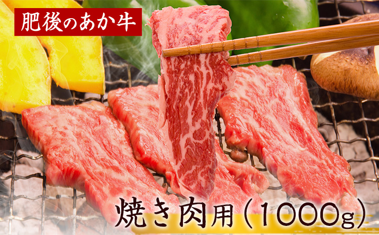 肥後のあか牛 焼き肉用 1000g 長洲町L（桜屋） 熊本 特産 あか牛《30日以内に出荷予定(土日祝除く)》---sn_f501hgyk_30d_r7_24500_1000g---st-p