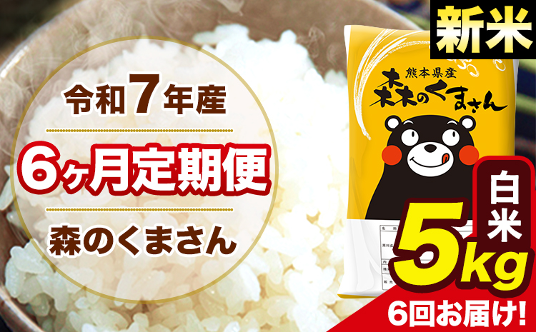 新米 令和7年産 森のくまさん 白米【6ヶ月定期便】 5kg 5kg×1袋 計6回お届け 《お申込み翌月から出荷》 お米 こめ 熊本県産 ご飯 備蓄---mk7tei_75000_5kg_mo6_ng_h---