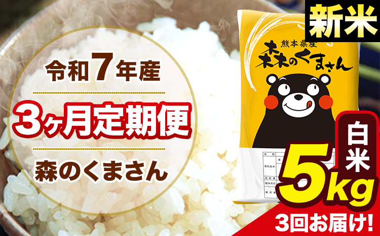 新米 令和7年産 森のくまさん 白米【3ヶ月定期便】 5kg 5kg×1袋 計3回お届け 《お申込み翌月から出荷》 お米 こめ 熊本県産 ご飯 備蓄---mk7tei_37500_5kg_mo3_ng_h---