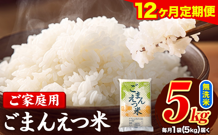 【12ヶ月定期便】訳あり 米 無洗米 ごまんえつ米 5kg 5kg×1袋 米 こめ 定期便 家庭用 備蓄 熊本県 長洲町 くまもと ブレンド米 熊本県産 訳あり 常温 配送 《お申込み翌月から出荷》---ng_gmntei_5kg_138000_mo12---