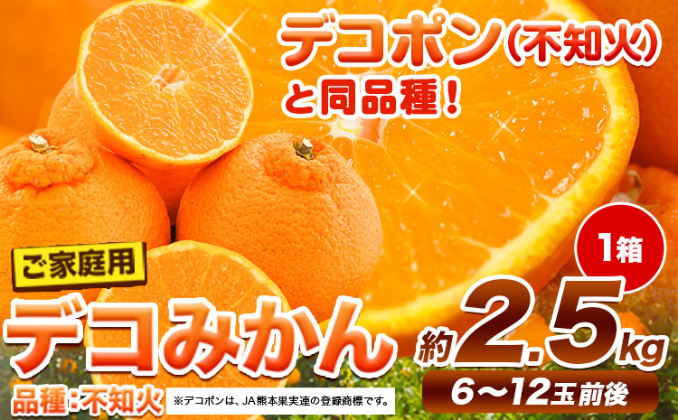 ご家庭用 デコみかん 約2.5kg 6～12玉前後《2026年2月上旬-4月末頃出荷》デコポン（不知火）と同品種 熊本県産 熊本県 長洲町 訳あり---ng_dkmkn_af24_r7_7000_2500g---