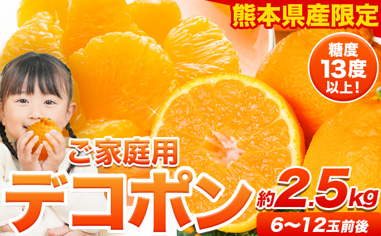 ご家庭用 デコポン デコポン約2.5kg前後(約6-12玉前後)《2026年2月上旬-4月末頃出荷》不知火 熊本県産 熊本県 長洲町 糖度13度以上---ng_deko_af24_r7_8000_2500g----