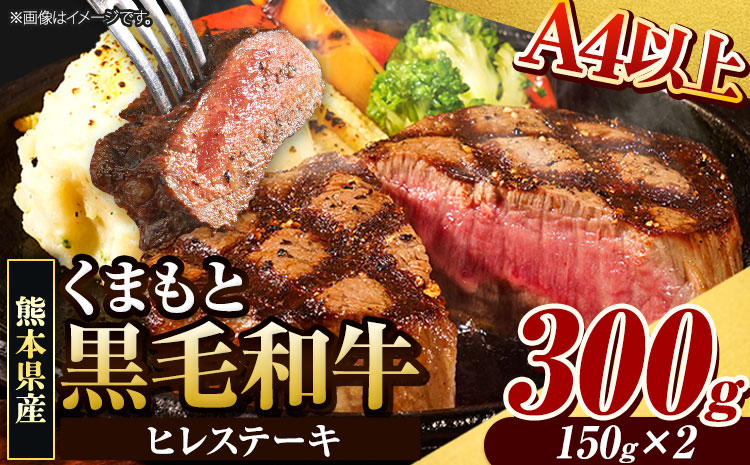 くまもと黒毛和牛 ヒレステーキ 300g 牛肉 冷凍 《90日以内に出荷予定（土日祝除く）》 くまもと黒毛和牛 黒毛和牛 冷凍庫 個別 取分け 小分け 個包装 ステーキ肉 にも ヒレステーキ---ng_fhire_90d_r7_18000_300g---st-p