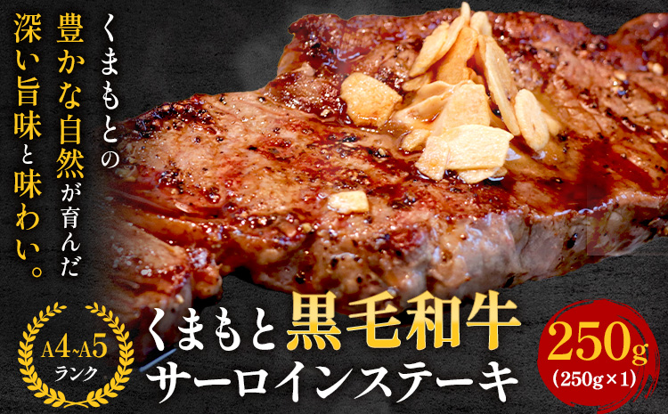 【A4～A5】くまもと黒毛和牛 サーロインステーキ 250g《30日以内に出荷予定(土日祝除く)》 牛肉 くまもと黒毛和牛 黒毛和牛 冷凍庫 サーロイン ステーキ---sn_fespsa_30d_r7_13000_250g---st-p