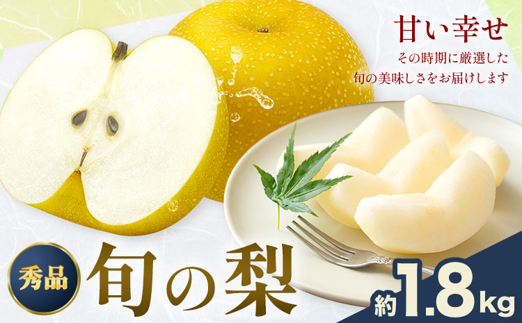 【2026年先行予約】おまかせ梨 秀品 約1.8kg 日本フルーツ《8月上旬-10月上旬頃出荷》熊本県 長洲町 なし 梨 果物 フルーツ デザート ギフト ご贈答---sn_cnfomn_ad810_r8_10000_1800g---