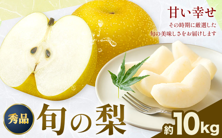 【2026年先行予約】おまかせ梨 秀品 約10kg 日本フルーツ《8月上旬-10月上旬頃出荷》熊本県 長洲町 なし 梨 果物 フルーツ デザート ギフト ご贈答---sn_cnfomn_ad810_r8_27500_10kg---