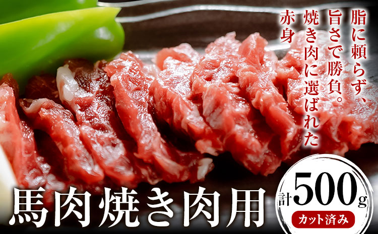 馬肉焼肉用 500g カット済 長洲町L（桜屋）《60日以内に出荷予定(土日祝除く)》熊本県 長洲町 送料無料 肉 馬肉 焼肉---sn_fskbnyk_60d_25_18500_500g---