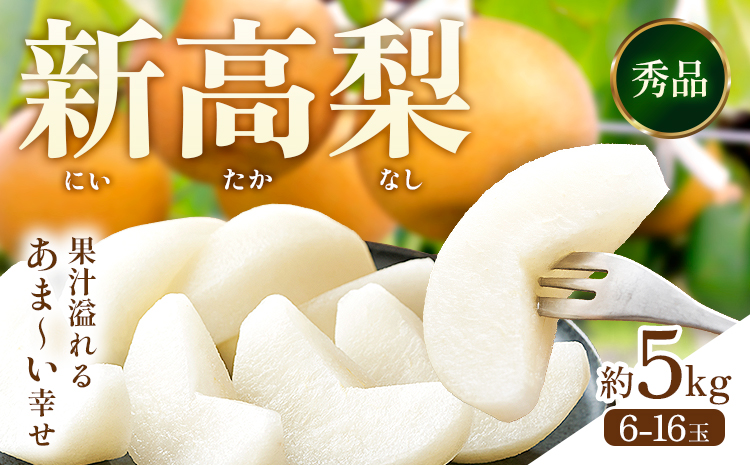 【2026年先行予約】 新高梨 約5kg（6～16玉） 日本フルーツ株式会社《9月上旬-10月上旬頃出荷》熊本県 長洲町 新高梨 梨 果物 フルーツ スイーツ デザート ギフト ご贈答---sn_nfntn_ad9_r8_16500_5kg---