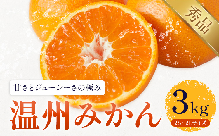 温州みかん 約3kg 日本フルーツ株式会社 熊本県 長洲町 《10月中旬-2月下旬頃出荷予定（土日祝除く）》 デコポン 果物 秀品 フルーツ スイーツ デザート ギフト ご贈答---sn_nfum_k102_25_7500_3kg---