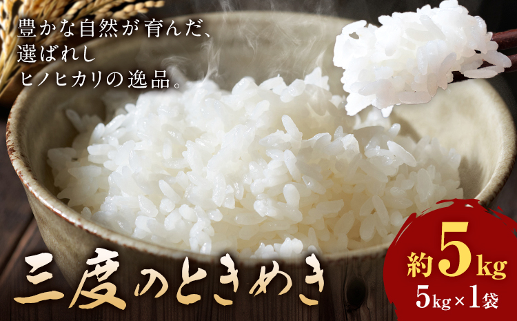 令和7年産 米 三度のときめき 5kg くまもと食彩の力《60日以内に出荷予定(土日祝除く)》熊本県 長洲町 お米 ひのひかり ヒノヒカリ こめ コメ---sn_kmst_60d_r7_16000_5kg---