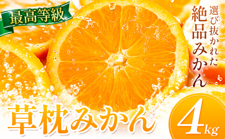 草枕みかん 約4kg 《11月上旬-12月上旬頃出荷》熊本県 長洲町 フルーツ 柑橘 みかん ミカン 草枕 デザート 送料無料---ng_ksm_ad11_r7_9500_4kg---
