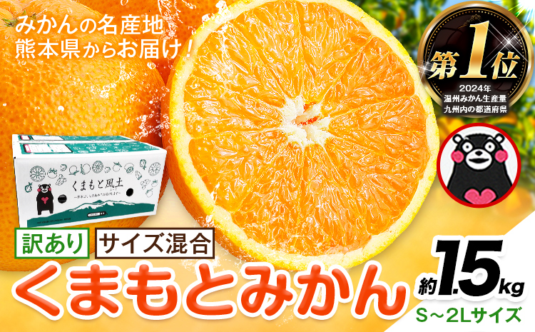 【年内発送】みかん 訳あり くまもとみかん 約1.5kg S-2Lサイズ サイズ混合 ご家庭用《1-5日以内に出荷予定(土日祝除く)》 訳あり みかん フルーツ サイズ混合 秋 旬 柑橘 熊本県 長洲町 熊本県産 長洲町産含む---ng_wkmkn_s_4500_15k---