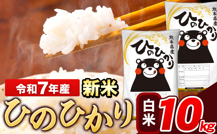 新米 令和7年産 ひのひかり 白米 10kg 《7-14日以内に出荷予定(土日祝除く)》 5kg×2袋 熊本県産 米 精米---ng_hn7_wx_24500_10kg_h---