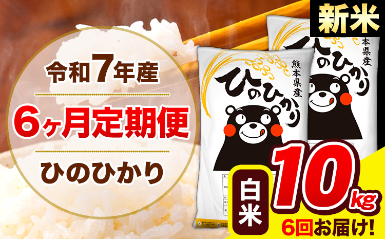 新米 令和7年産 ひのひかり【6ヶ月定期便】白米  10kg (5kg×2袋) 計6回お届け 《お申込み翌月から出荷》 熊本県産 白米 精米 ひの 米 こめ お米 熊本県 長洲町---hn7tei_147000_10kg_mo6_ng_h---