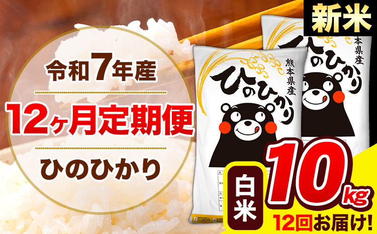 新米 令和7年産 ひのひかり【12ヶ月定期便】白米  10kg (5kg×2袋) 計12回お届け 《お申込み翌月から出荷》 熊本県産 白米 精米 ひの 米 こめ お米 熊本県 長洲町---hn7tei_294000_10kg_mo12_ng_h---