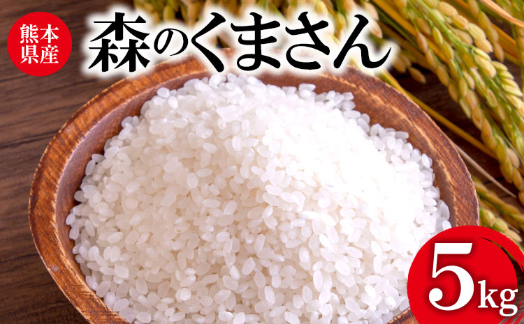 令和7年産 森のくまさん 5kg 株式会社羽根《60日以内に出荷予定(土日祝除く)》熊本県産 白米 精米  もりくま 米---sn_hnmori7_60d_25_15000_5kg---