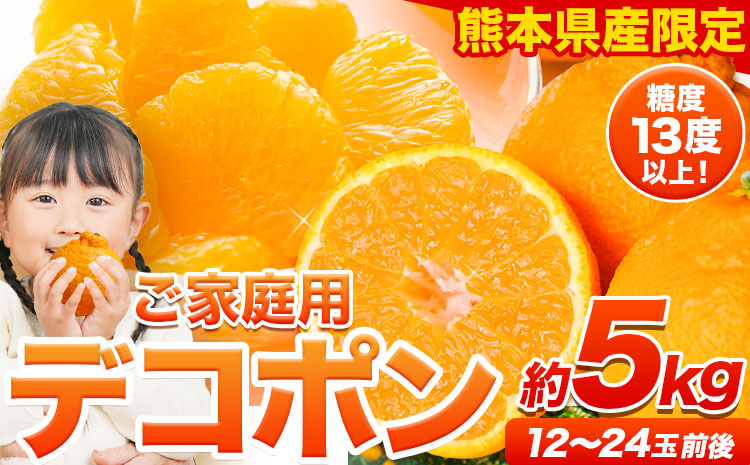 ご家庭用 デコポン デコポン約5kg前後(約12-24玉前後)《2026年2月上旬-4月末頃出荷》不知火 ---ng_deko_af24_r7_15000_5kg---