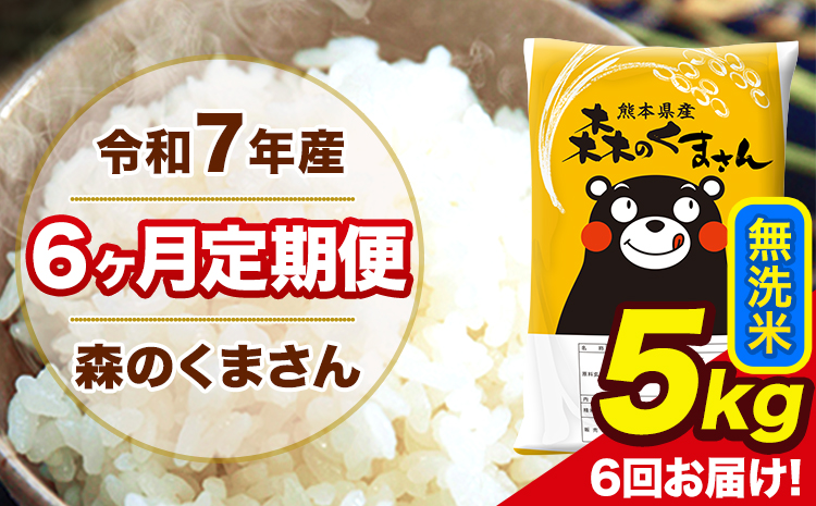 令和7年産 森のくまさん 無洗米 【6ヶ月定期便】5kg 5kg×1袋 計6回お届け 《お申込み翌月から出荷》 お米 こめ 熊本県産 ご飯 備蓄---mk7tei_75000_5kg_mo6_ng_m---