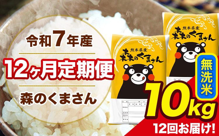 令和7年産 森のくまさん 無洗米 10kg 5kg×2袋 計12回お届け 《お申込み翌月から出荷》 お米 こめ 熊本県産 ご飯 備蓄---mk7tei_234000_10kg_mo12_ng_m---