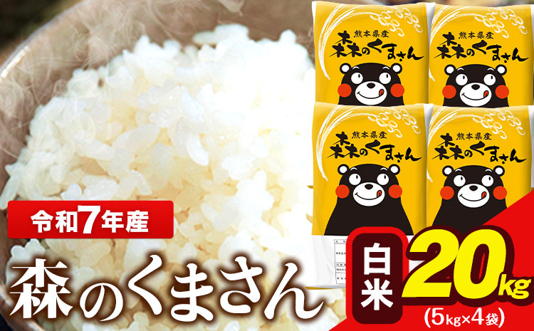 令和7年産 森のくまさん 20kg (5kg×4袋)  白米 熊本県産 単一原料米 森くま《7-14日以内に出荷予定(土日祝除く)》送料無料---ng_mk7_wx_40500_20kg_h---