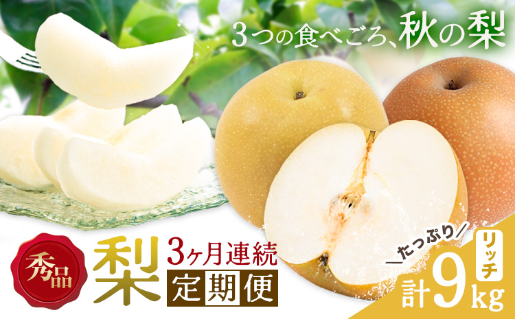 【3ヶ月定期便】梨 定期便 秀品 3ヶ月連続 梨の定期便 リッチ 計9kg 日本フルーツ株式会社《8月上旬-10月末頃出荷》熊本県 長洲町 なし ナシ 豊水梨 秋月梨 新高梨 果物 フルーツ---sn_cnfzntei_41000_rich_aug3---