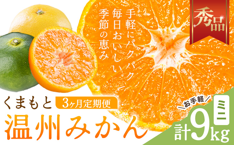 【3ヶ月定期便】みかん 定期便 秀品 温州みかん ミニ 計9kg 日本フルーツ株式会社《10月上旬-12月末頃出荷》熊本県 長洲町 ミカン 蜜柑 柑橘類 極早生 早生 中生 果物 フルーツ---sn_nfumtei_23000_mini_oct3---