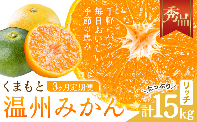 【3ヶ月定期便】みかん 定期便 秀品 温州みかん リッチ 計15kg 日本フルーツ株式会社《10月上旬-12月末頃出荷》熊本県 長洲町 ミカン 蜜柑 柑橘類 極早生 早生 中生 果物 フルーツ---sn_nfumtei_28500_rich_oct3---