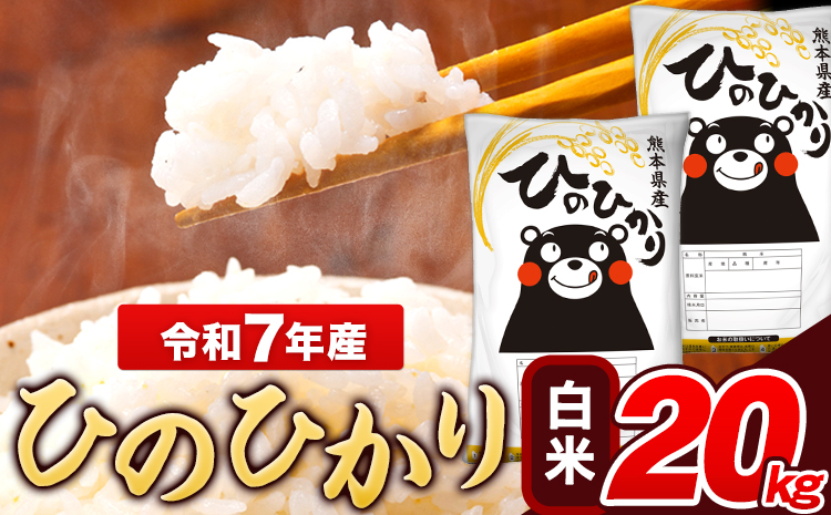 令和7年産 ひのひかり 白米 20kg(5kg×4袋)《7-14日以内に出荷予定(土日祝除く)》 熊本県産 米---ng_hn7_wx_38500_20kg_h---