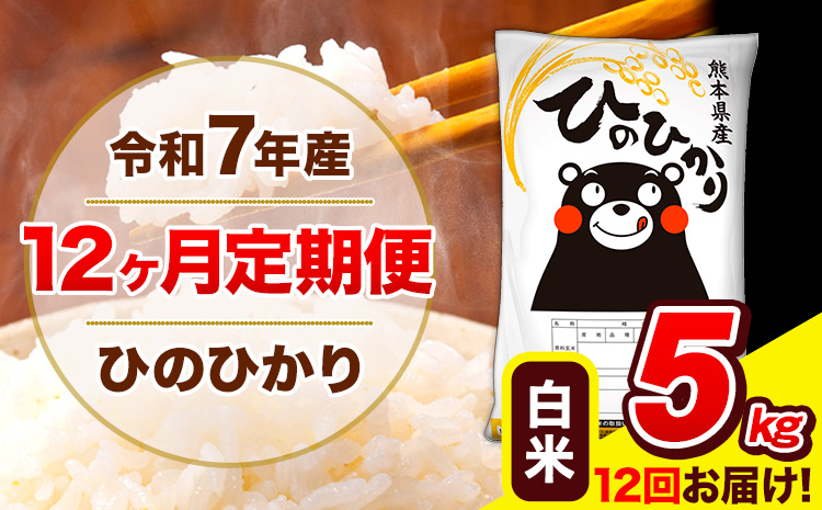 令和7年産 ひのひかり【12ヶ月定期便】白米  5kg (5kg×1袋) 計12回お届け 《お申込み翌月から出荷》 熊本県産 白米 精米 ひの 米 こめ お米 熊本県 長洲町---hn7tei_120000_5kg_mo12_ng_h---