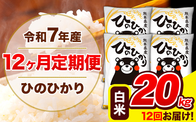 令和7年産 ひのひかり【12ヶ月定期便】白米  20kg (5kg×4袋) 計12回お届け 《お申込み翌月から出荷》 熊本県産 白米 精米 ひの 米 こめ お米 熊本県 長洲町---hn7tei_462000_20kg_mo12_ng_h---