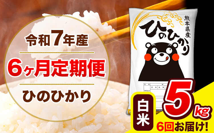 令和7年産 ひのひかり【6ヶ月定期便】白米  5kg (5kg×1袋) 計6回お届け 《お申込み翌月から出荷》 熊本県産 白米 精米 ひの 米 こめ お米 熊本県 長洲町---hn7tei_60000_5kg_mo6_ng_h---