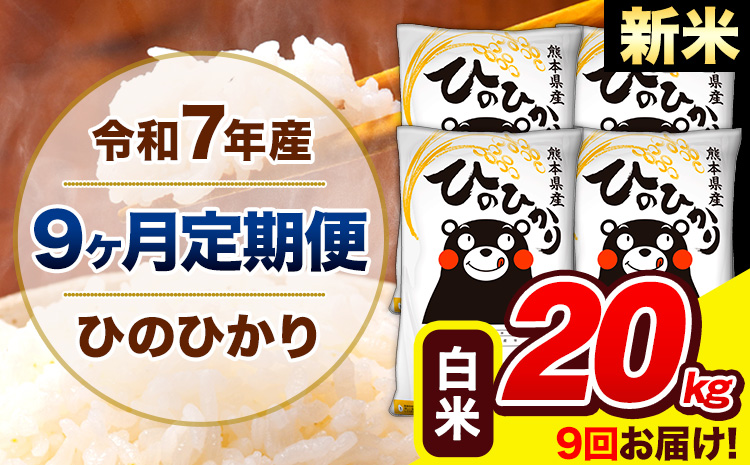 新米 令和7年産 ひのひかり 【9ヶ月定期便】 白米 20kg (5kg×4袋) 計9回お届け 《お申込み翌月から出荷》 熊本県産 精米 ひの 米 こめ お米 熊本県 長洲町---hn7tei_436500_20kg_mo9_ng_h---