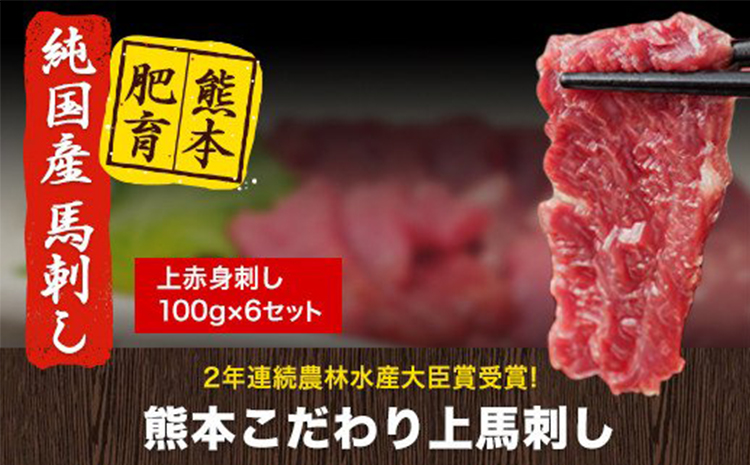 馬刺し 上赤身 ブロック 国産 熊本肥育  生食用 たれ付き(10ml×6袋) 100g×6セット《90日以内に出荷予定(土日祝除く)》---ng_fkgakm_90d_20000_600gt---