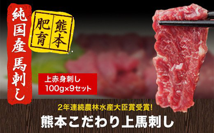 馬刺し 上赤身 ブロック 国産 熊本肥育  生食用 たれ付き(10ml×9袋) 100g×9セット 《90日以内に出荷予定(土日祝除く)》---ng_fkgakm_90d_30000_900gt---