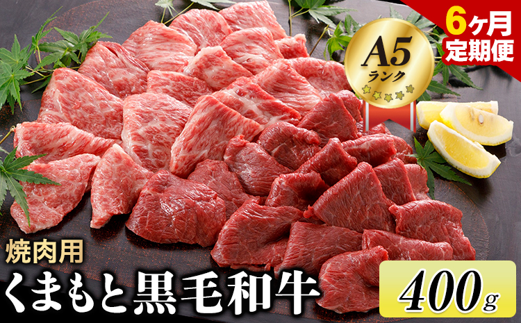 牛肉 【6ヶ月定期便】 【A5ランク】くまもと黒毛和牛 焼肉用 400g 牛肉 長洲町L（桜屋）《お申込み月の翌月から出荷開始》 ---sn_f501kyktei_r7_122500_mo6num1---st-p