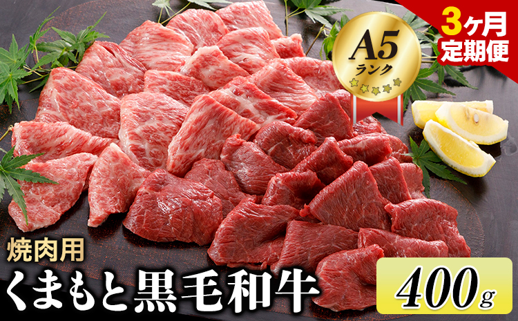 牛肉 【3ヶ月定期便】 【A5ランク】牛肉 くまもと黒毛 焼肉用 400g 黒毛和牛 長洲町L（桜屋）《お申込み月の翌月から出荷開始》---sn_f501kyktei_r7_61500_mo3num1---st-p