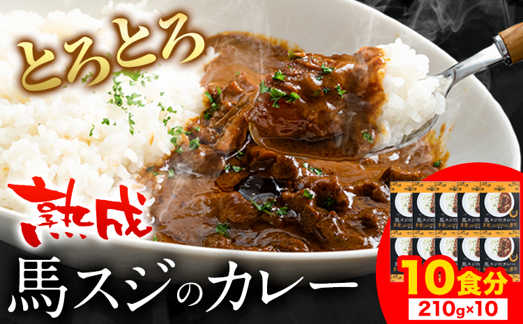 馬スジカレー 10食セット 馬肉 肉 馬スジ カレー《60日以内に出荷予定(土日祝除く)》株式会社千興ファーム 馬スジ カレー ---sn_fbsjikr_60d_25_16500_10set---