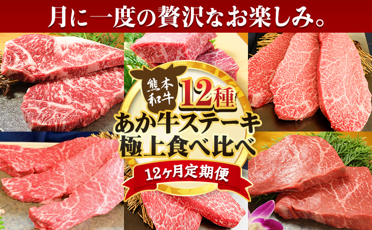 【12ヶ月定期便】あか牛 ステーキ 12種 肉 極上 食べ比べ 牛肉 サーロイン ロース《お申込み月の翌月から出荷開始》三協畜産---sn_fsa12tei_r7_500000_mo12num1---