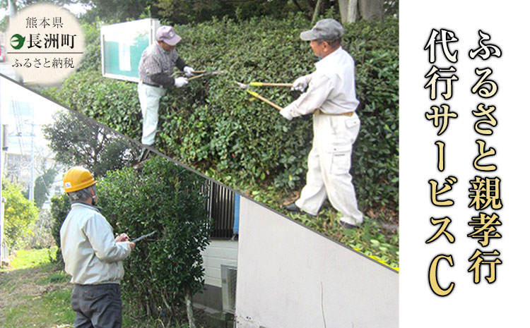 ふるさと親孝行代行サービスC---sn_silvercenter_r7_20000_c---
