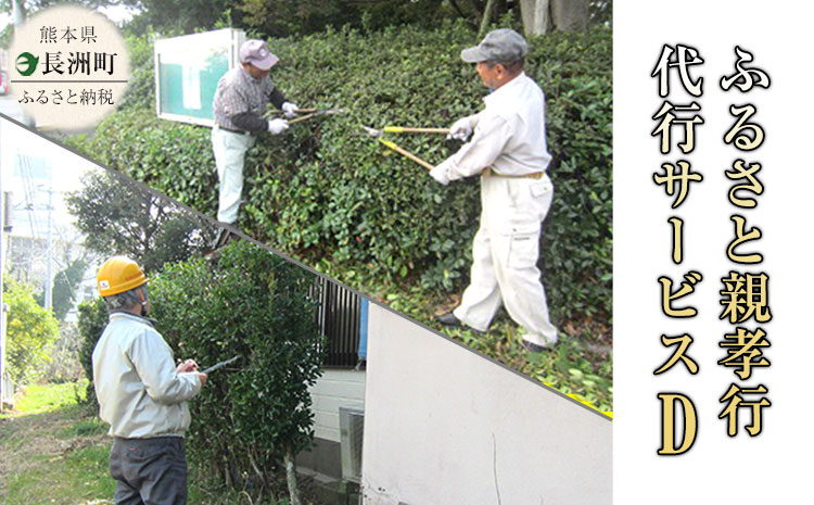 ふるさと親孝行代行サービスD---sn_silvercenter_r7_30000_d---