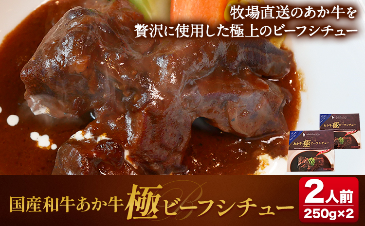国産和牛 あか牛 極2人前 250g × 2 あかうし 三協畜産 《60日以内に出荷予定(土日祝除く)》   熊本和牛 ---sn_skabfstu_r7_60d_15500_2p---st-p