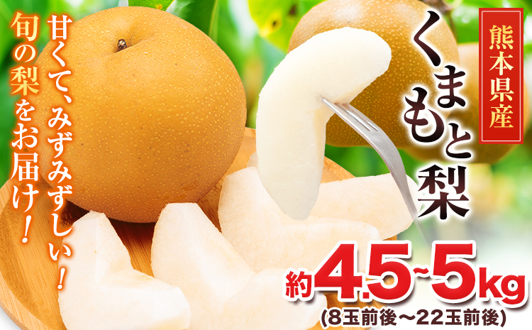 [2026年先行予約] 梨 くまもと梨 秋 旬 なし 幸水 豊水 先行 果物 くだもの フルーツ 送料無料 あきづき 甘太 新高 新興 約4.5〜5kg(8玉〜22玉前後) 熊本県産[着日指定不可][8月下旬-11月中旬頃出荷]旬 果物 お取り寄せ ナシ---fn_cngsnasi_h811_r8_13500_5kg---