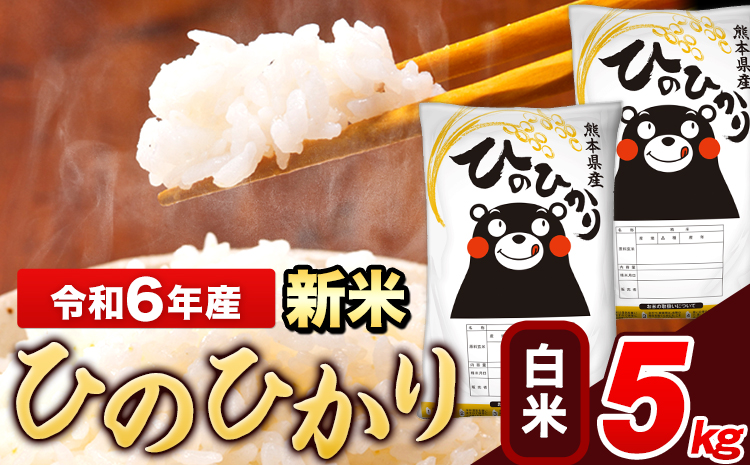 令和6年産 新米 ひのひかり 白米 5kg(5kg×1袋)[11月-12月より出荷予定] 熊本県産 米 精米---ng_hn6_af11_24_10000_5kg_h---