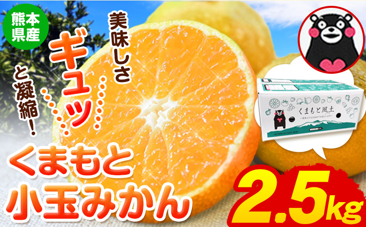 訳あり みかん 小玉みかん くまもと小玉みかん 2.5kg (2.5kg×1箱) 秋 旬 不揃い 傷 ご家庭用 SDGs 小玉 たっぷり 熊本県 産 S-3Sサイズ フルーツ 旬 柑橘 長洲町 温州みかん[11月中旬-12月上旬頃出荷]---fn_nkomikan_g11_24_6000_2500g---