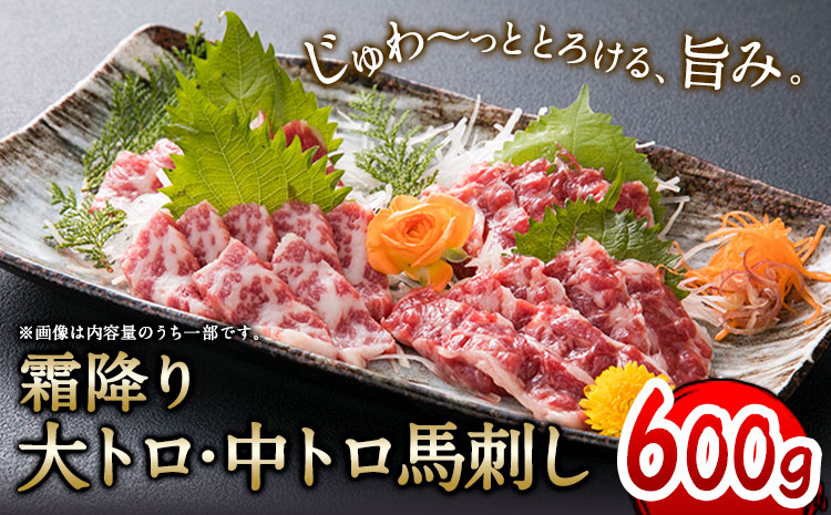 大トロ中トロ馬刺し盛り 600g 長洲501[30日以内に出荷予定(土日祝除く)]馬刺し 熊本 長洲町 大トロ 中トロ 食べ比べ 馬肉 霜降り---sn_fskottyu_30d_24_70000_600g---