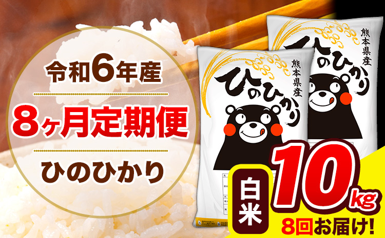 [8ヶ月定期便] 令和6年産 ひのひかり 白米 10kg (5kg×2袋) 計8回お届け [お申し込み月の翌月から出荷開始] 熊本県産 白米 精米 ひの 米 こめ お米 熊本県 長洲町---hn6tei_156000_10kg_mo8_ng_h---